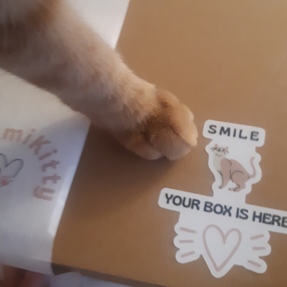 Cat Mom Accessories Box for Her Cat themed Treats and Toys for Kitty Cats - Picture 4 of 12